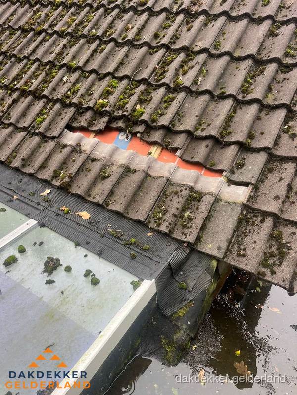 Beschadigd pannendak met ontbrekende dakpannen voor reparatie in Gelderland Beschadigd pannendak met ontbrekende dakpannen voor reparatie in Gelderland