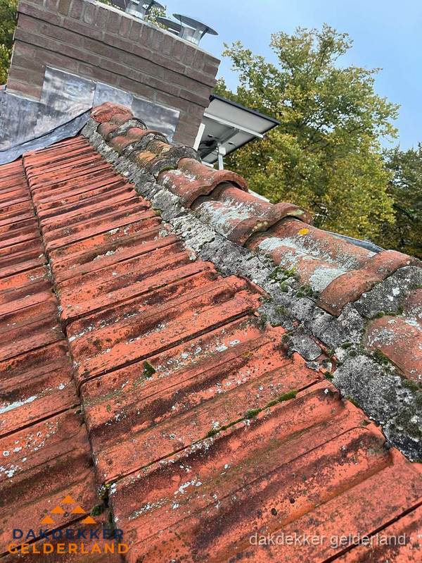 Verweerd hellend dak met mosgroei op nokvorst in Gelderland Verweerd hellend dak met mosgroei op nokvorst in Gelderland