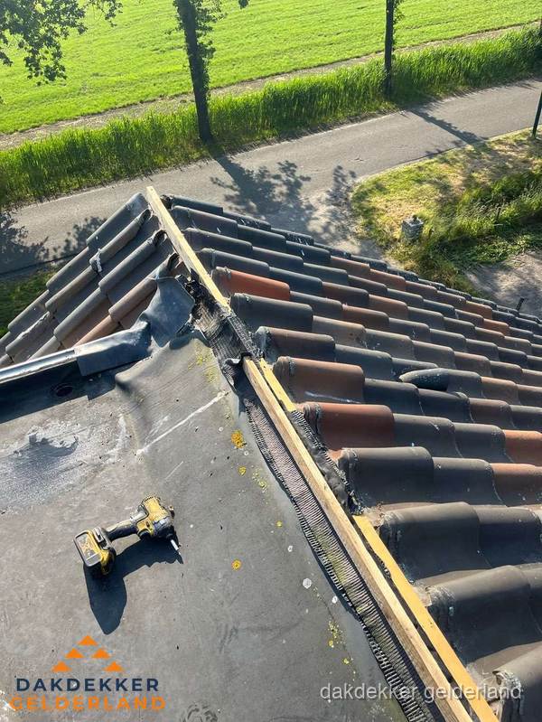 Kosten dakgoot vervangen: werkzaamheden aan dakrand in Gelderland Kosten dakgoot vervangen: werkzaamheden aan dakrand in Gelderland