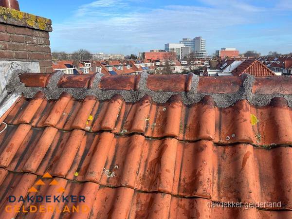 Pannendak met nokvorst en schoorsteen, dakrenovatie in Gelderland Pannendak met nokvorst en schoorsteen, dakrenovatie in Gelderland
