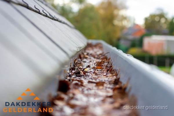 Verstopte dakgoot met bladeren schoonmaken in Gelderland Verstopte dakgoot met bladeren schoonmaken in Gelderland