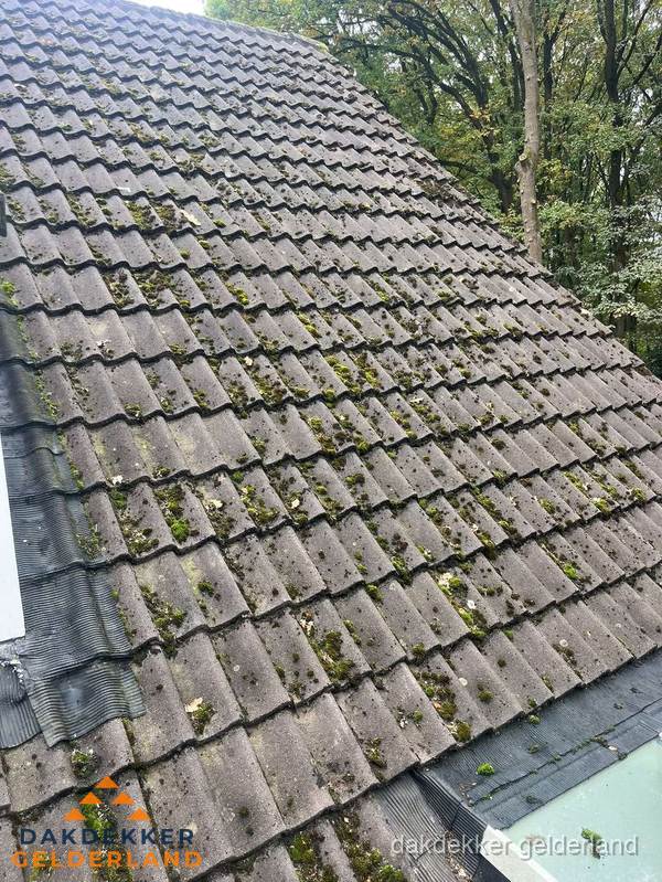 Verweerd pannendak met mosgroei dat renovatie nodig heeft in Gelderland Verweerd pannendak met mosgroei dat renovatie nodig heeft in Gelderland